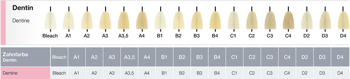 Dentin Dentalkeramik