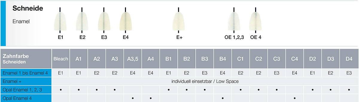 Schneide / Enamel Dentalkeramik
